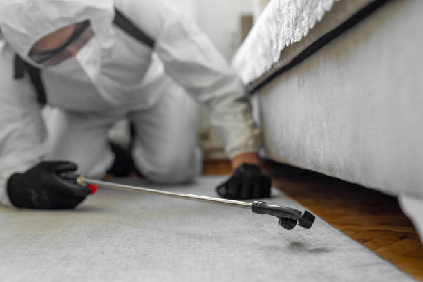 Professional Pest Control technician working in Mechanicville, NY
