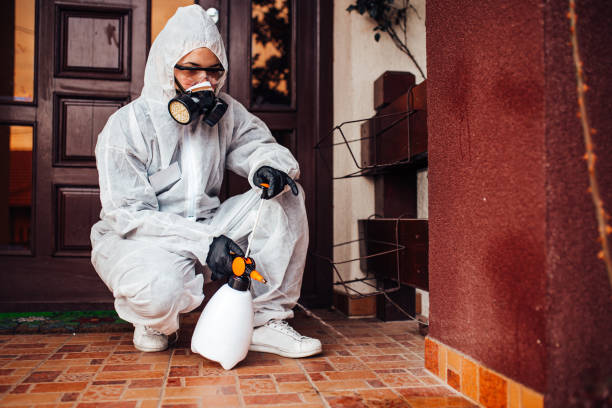 Reliable Rodent Control contractor in Mechanicville, NY by Nex Pest Control