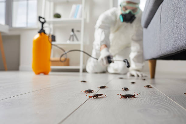 Trusted Rodent Control service in Mechanicville, NY - Nex Pest Control