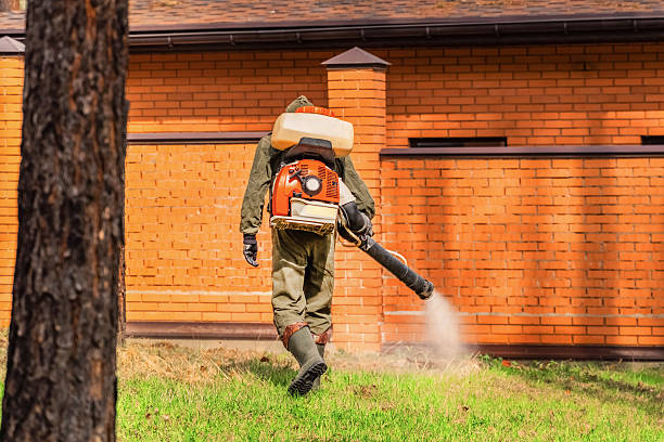 Trusted Emergency Pest Control service in Mechanicville, NY - Nex Pest Control